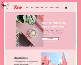 Website designs pink6