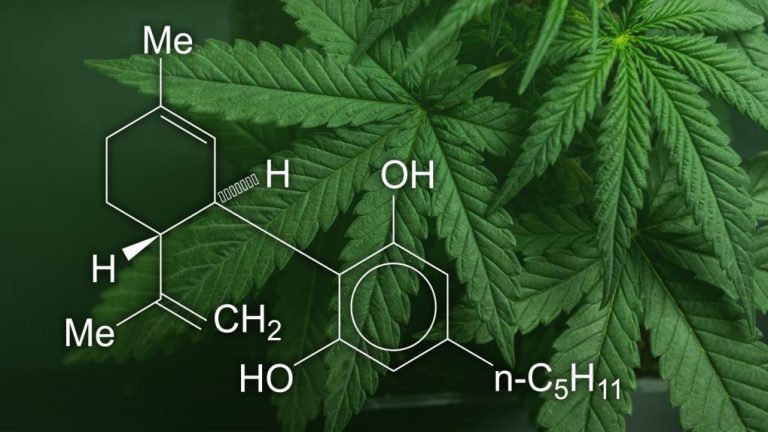 er cbd lovlig i norge